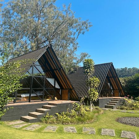 Bamboo Mount Batur 호텔 킨타마니 외부 사진